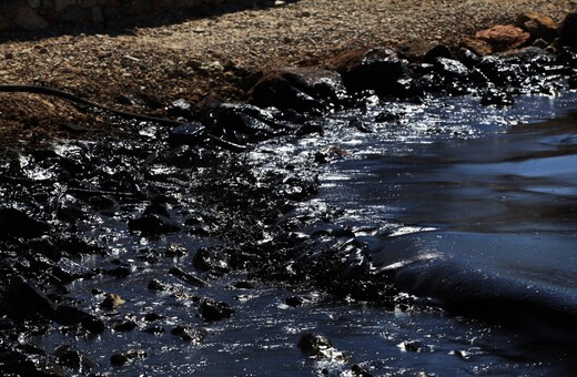 «Καμπανάκι» από WWF για τις ελληνικές θάλασσες με αφορμή την έρευνα και εξόρυξη υδρογονανθράκων