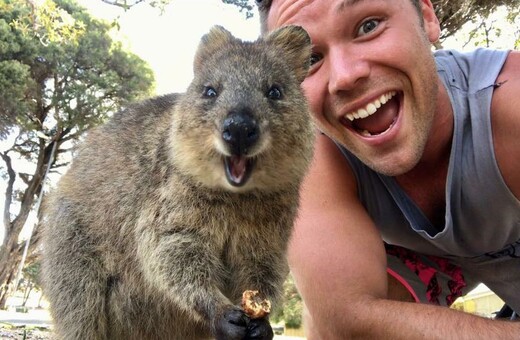 Το quokka είναι το πιο χαρούμενο ζώο στον κόσμο