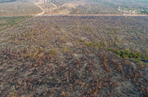 Χωρίς να έχει στοιχεία, ο Μπολσονάρου κατηγορεί τις ΜΚΟ πως ανάβουν τις φωτιές στον Αμαζόνιο
