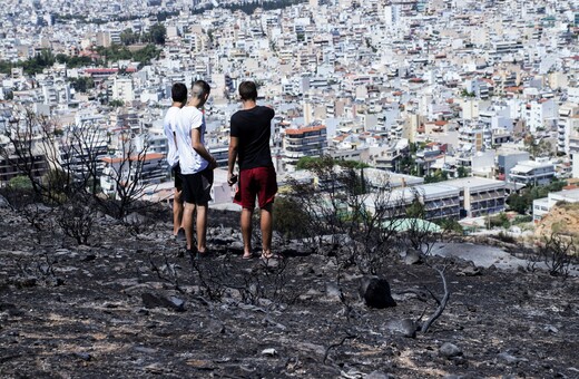 Καταστρέφουν ή όχι τα δάση οι αναδασώσεις; Πώς μπορούν να αντιμετωπιστούν πλέον οι δασικές καταστροφές;