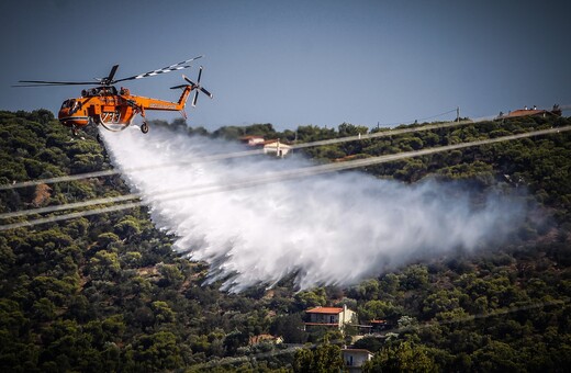 Φωτιά στην Τανάγρα - Μεγάλη κινητοποίηση της Πυροσβεστικής