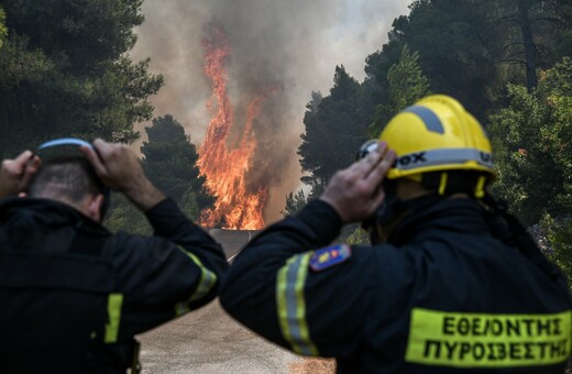 Φωτιά στην Εύβοια: Μάχη με φλόγες 20 μέτρων - Συγκλονιστικές εικόνες