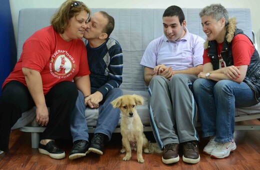 «Therapy Dogs»: πώς δημιουργήθηκε η πρώτη ομάδα «σκύλων-θεραπευτών» στην Ελλάδα