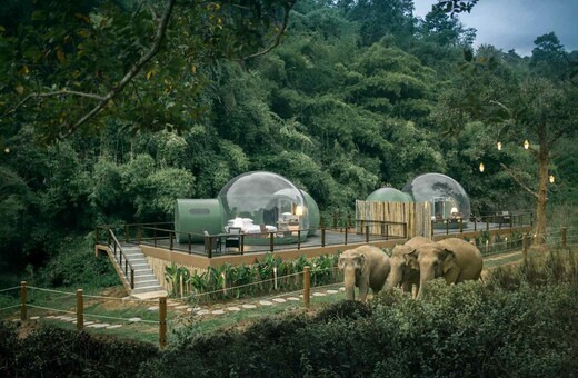 Σε αυτό το resort της Ταϊλάνδης μπορείς να κοιμηθείς πλάι στους ελέφαντες