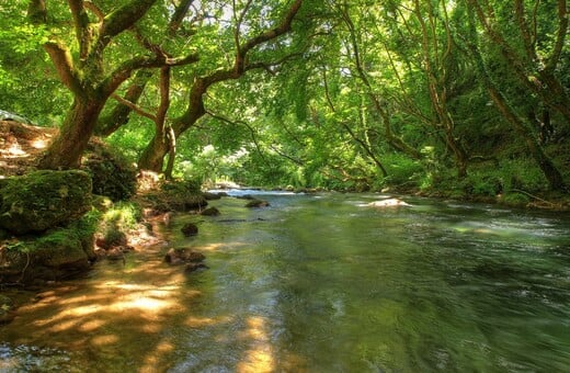 Κολυμπώντας στα δροσερά και σκιερά ποτάμια της Ελλάδας