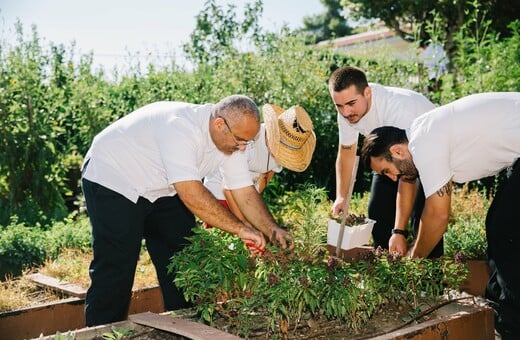 Ένα πρωί με τον Τάσο Μαντή και τον μαστρο-Μπάμπη στο μποστάνι που προμηθεύει τη «Hytra»