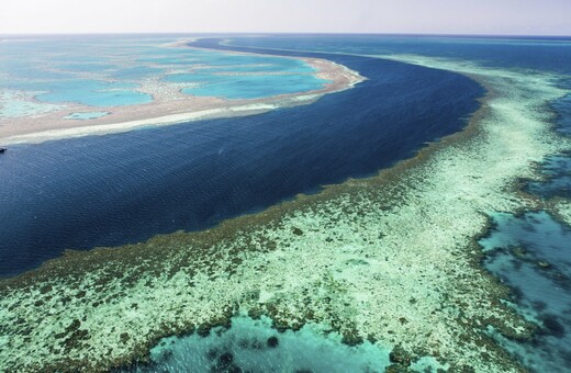 Ο Μεγάλος Κοραλλιογενής Ύφαλος έχασε τα μισά του κοράλλια από το 1995