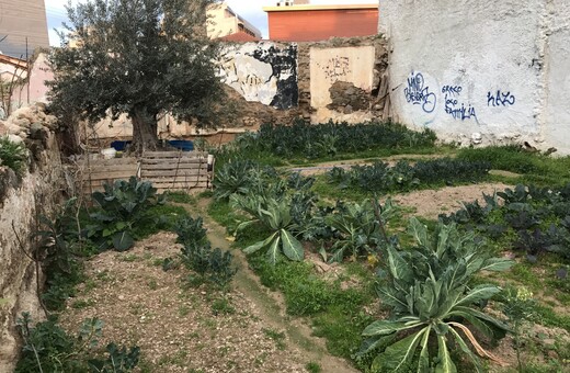 Όταν έδερνα τα μπρόκολα. Από τον Στάθη Τσαγκαρουσιάνο