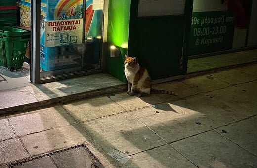 UPD/ O γάτος είναι ΟΚ!