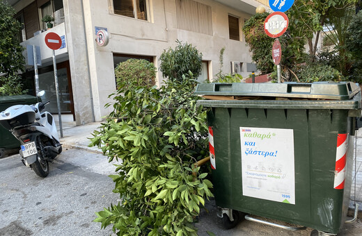 Σήμερα στα σκουπίδια της Αναγνωστοπούλου κάποιος πέταξε ένα δέντρο