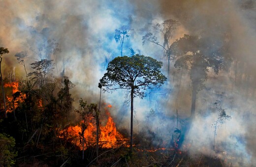Δραματική πρόβλεψη για τον Αμαζόνιο: «Κινδυνεύει να μετατραπεί σε σαβάνα έως το 2064»