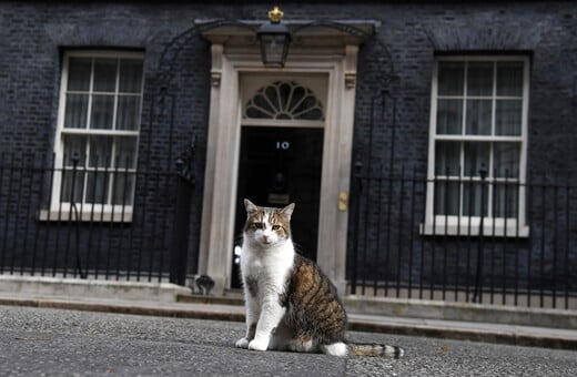 Ο Λάρι, ο γάτος της Ντάουνινγκ Στριτ, έκλεισε 10 χρόνια στην «εξουσία»