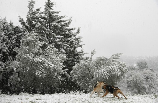 Χιόνια στο Ωραιόκαστρο Θεσσαλονίκης