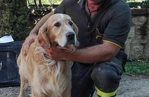 Ο σκύλος που βρέθηκε ζωντανός μετά από 9 μέρες στα χαλάσματα του σεισμού στην Ιταλία