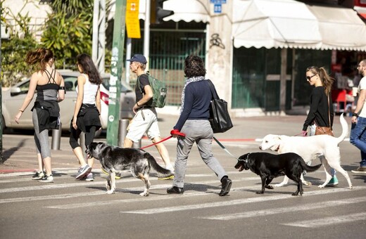 Το Τελ Αβίβ εγκαινιάζει το «Digi-Dog», την πρώτη ψηφιακή υπηρεσία για σκύλους