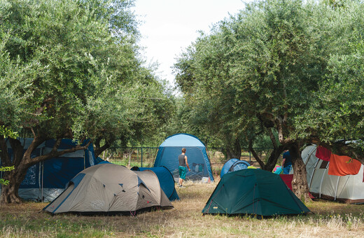 O οδηγός της LIFO για το καλοκαιρινό camping