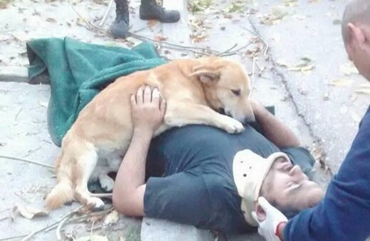 Η τρυφερή φωτογραφία του σκύλου που αρνήθηκε να εγκαταλείψει τον τραυματισμένο ιδιοκτήτη του κάνει το γύρο του διαδικτύου