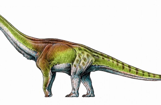 Γνωρίστε τον Παταγοτιτάν: Τον μεγαλύτερο δεινόσαυρο (και ίσως το μεγαλύτερο ζώο) που περπάτησε ποτέ στη Γη