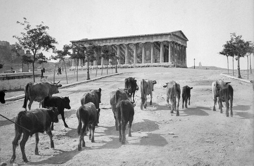 12 σπάνιες εικόνες από την Αθήνα του 1917