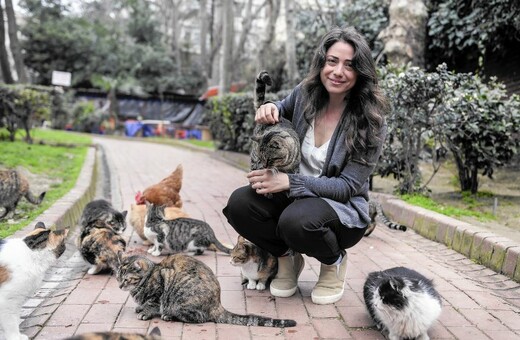 Γιατί αγαπάνε τόσο τις γάτες στην Κωνσταντινούπολη; Η σκηνοθέτης που τις ακολούθησε εξηγεί