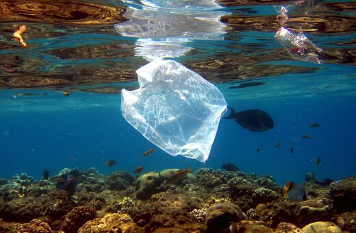 Πλαστική σακούλα βρέθηκε στο βαθύτερο σημείο των ωκεανών