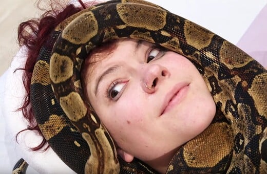 Θα δεχόσασταν μασάζ από φίδια για χαλάρωση;