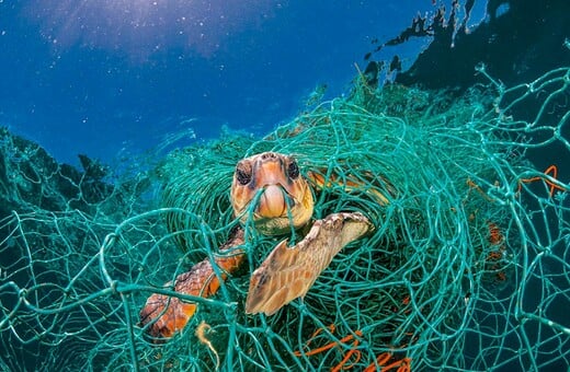 Όλοι μιλούν για το εξώφυλλο του National Geographic αλλά το πραγματικό σοκ είναι στις εικόνες μέσα