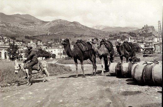 Καραβάνι με καμήλες στην Άμφισσα γύρω στο 1920