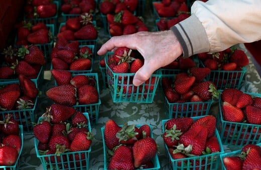 Μια γυναίκα είχε προκαλέσει τον πανικό με τις κρυμμένες βελόνες σε φράουλες στην Αυστραλία