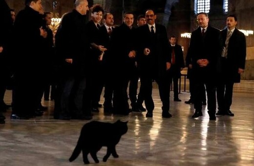 H μαύρη γάτα στην Αγιά Σοφιά την ώρα της επίσκεψης του Τσίπρα
