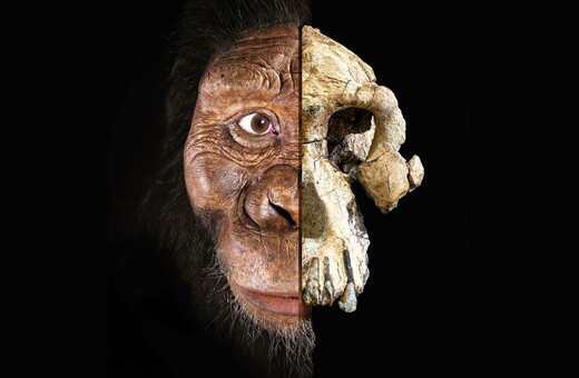Ένα προϊστορικό κρανίο αποκαλύπτεται και ίσως αλλάζει τα επιστημονικά δεδομένα για την ανθρώπινη εξέλιξη