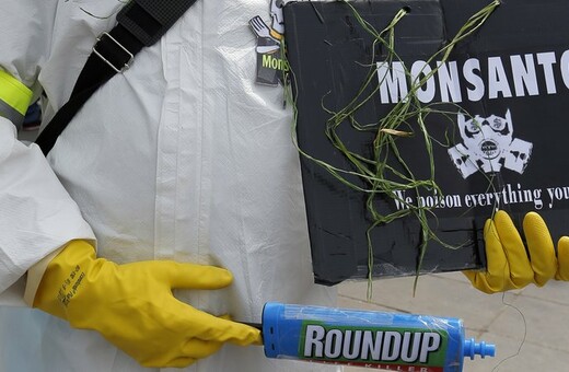 Monsanto: Τεράστια αποζημίωση σε ζευγάρι με καρκίνο - Η τέταρτη καταδίκη για τη γλυφοσάτη