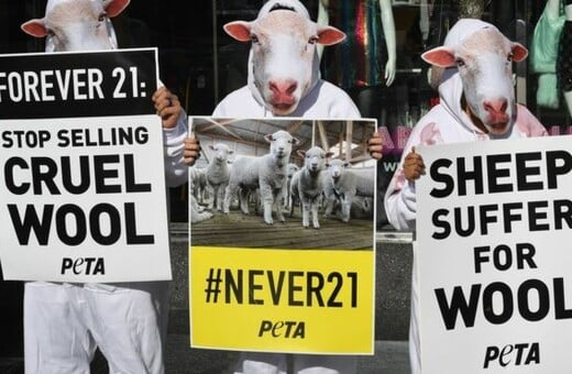 Απαγορεύτηκε διαφήμιση της Peta - Την έκριναν παραπλανητική