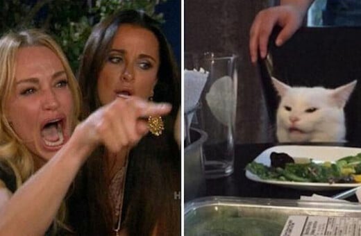 Το ίντερνετ το λάτρεψε και τώρα το meme «Woman Yelling At A Cat» έγινε βίντεο