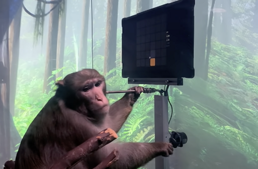 Ο Έλον Μασκ τα κατάφερε: Ένας πίθηκος μόλις έπαιξε videogames «τηλεπαθητικά» με εμφυτεύματα στο εγκέφαλο