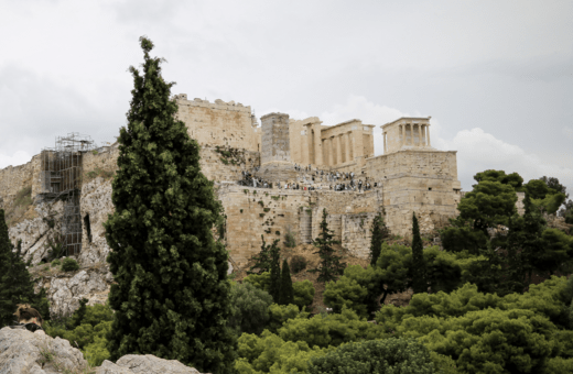 Αγχουσέλα η ποικιλόχρωμη & καμπανούλα η δραβόφυλλη: 220 είδη φυτών γύρω από την Ακρόπολη