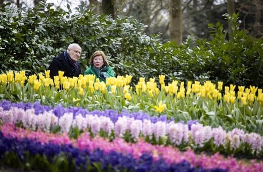 Στο Keukenhof φυτεύονται κάθε χρόνο 7 εκατομμύρια λουλούδια και ζουν για μόλις δυο μήνες