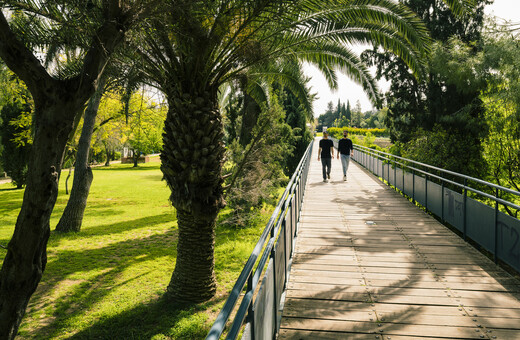 Γιατί η Κύπρος αποτελεί την ιδανική επιλογή για σπουδές στο εξωτερικό
