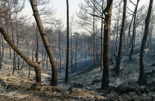 Πυρκαγιά στη Ρόδο: «Να κηρυχθούν σε κατάσταση έκτακτης ανάγκης 7 περιοχές»