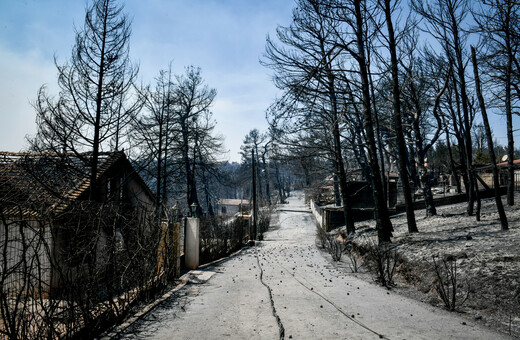 Πάνω από 930.000 στρέμματα κάηκαν φέτος στην Ελλάδα- Τρίτη στη Μεσόγειο