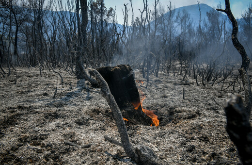 Βίλια: Ανεξέλεγκτη η φωτιά στο όρος Πατέρα – 80.000 στρέμματα στάχτη