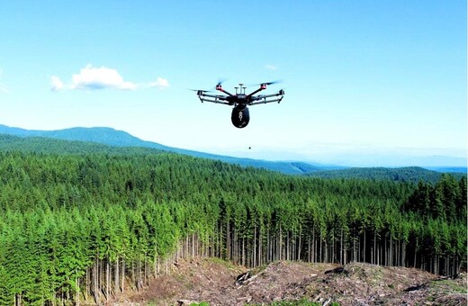 Αναδάσωση με drones: Startup θέλει να φυτέψει ένα δισεκατομμύριο δέντρα μέχρι το 2028