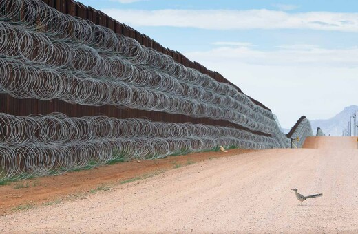 Image of bird at US-Mexico border wall wins contest