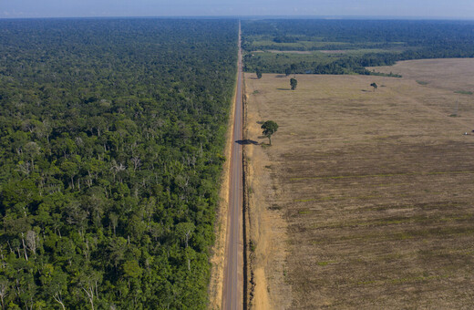 Αυτόχθονες ζητούν «για πρώτη φορά επισήμως» την προστασία της Αμαζονίας 