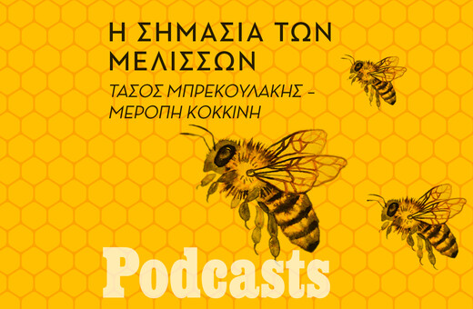 ΤΕΤΑΡΤΗ 03/11- ΕΧΕΙ ΠΡΟΓΡΑΜΜΑΣΤΕΙ-Γιατί χάνονται οι μέλισσες;