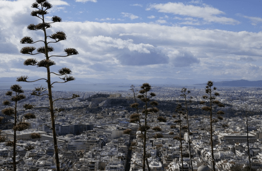 Απογραφή πληθυσμού 2021: Χρήσιμες ερωτήσεις και απαντήσεις από την ΕΛΣΤΑΤ 