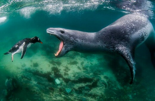 World Nature Photography Awards: 15 εντυπωσιακές φωτογραφίες