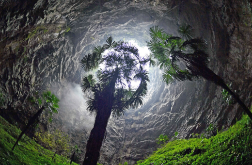Εκπληκτικό, αρχέγονο δάσος με δέντρα 130 μέτρων ανακαλύφθηκε σε μια κρυφή καταβόθρα της Κίνας