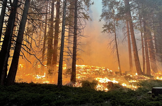 Καλύτερη η εικόνα της φωτιάς στο Yosemite που απειλεί υπεραιωνόβιες σεκόγιες - Αλλά ο καιρός δεν βοηθά