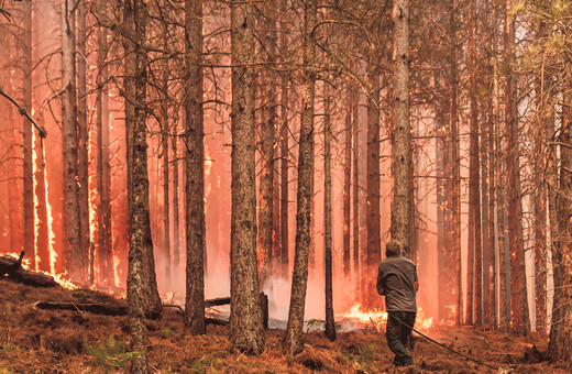 Ρεκόρ καμένων εκτάσεων φέτος στην Ευρώπη από τις ολέθριες πυρκαγιές - Στάχτη πάνω από 6,5 εκατ. στρέμματα γης 